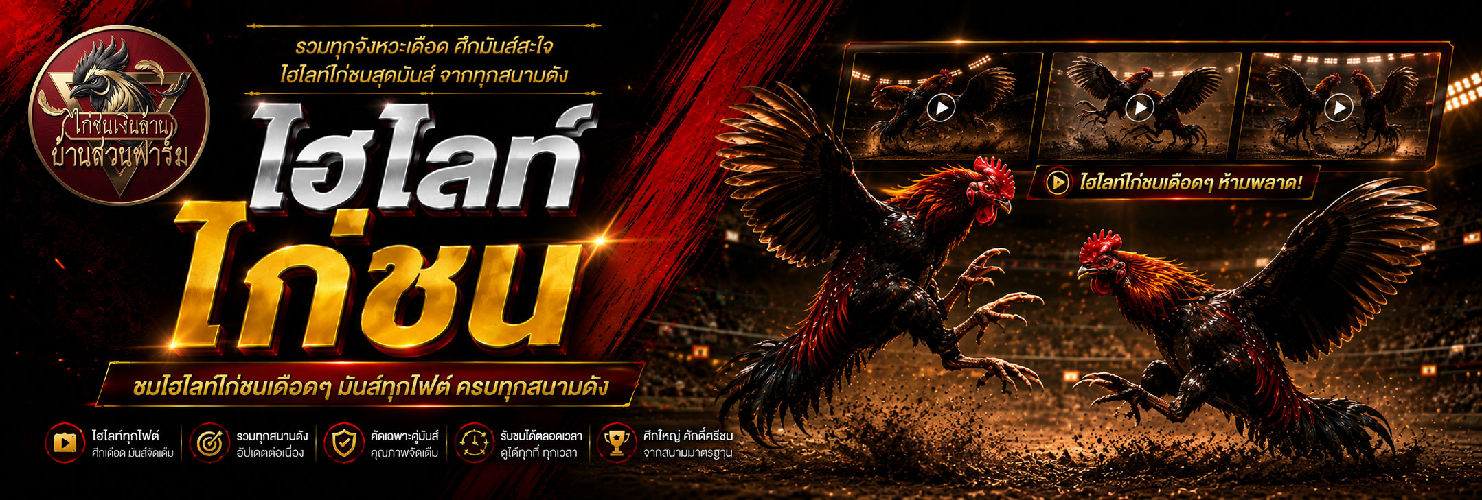 ไฮไลท์ไก่ชน